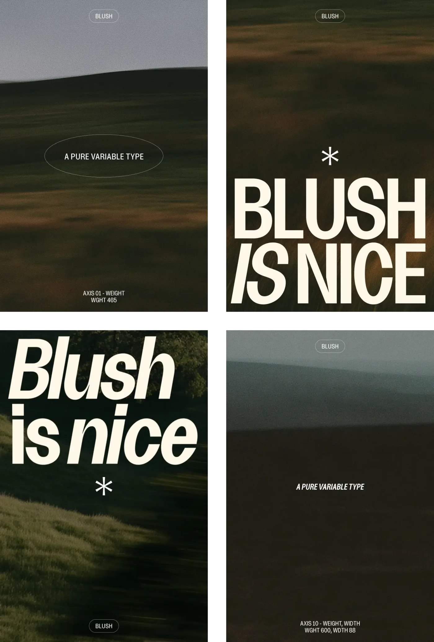 Four Blush posters over blurred fields and hills, reading “A pure variable type” and “Blush is nice” in upright capitals and in italic.