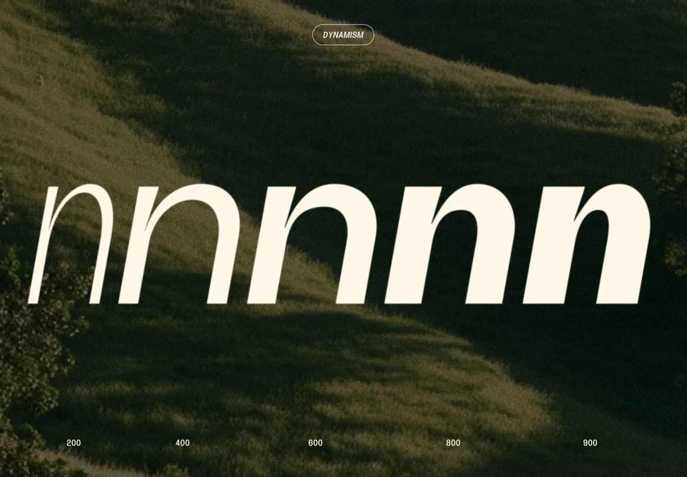 A row of lowercase n’s in Blush, from weight 200 to 900, with the ink trap where each arch meets its stem deepening as the letters get heavier.
