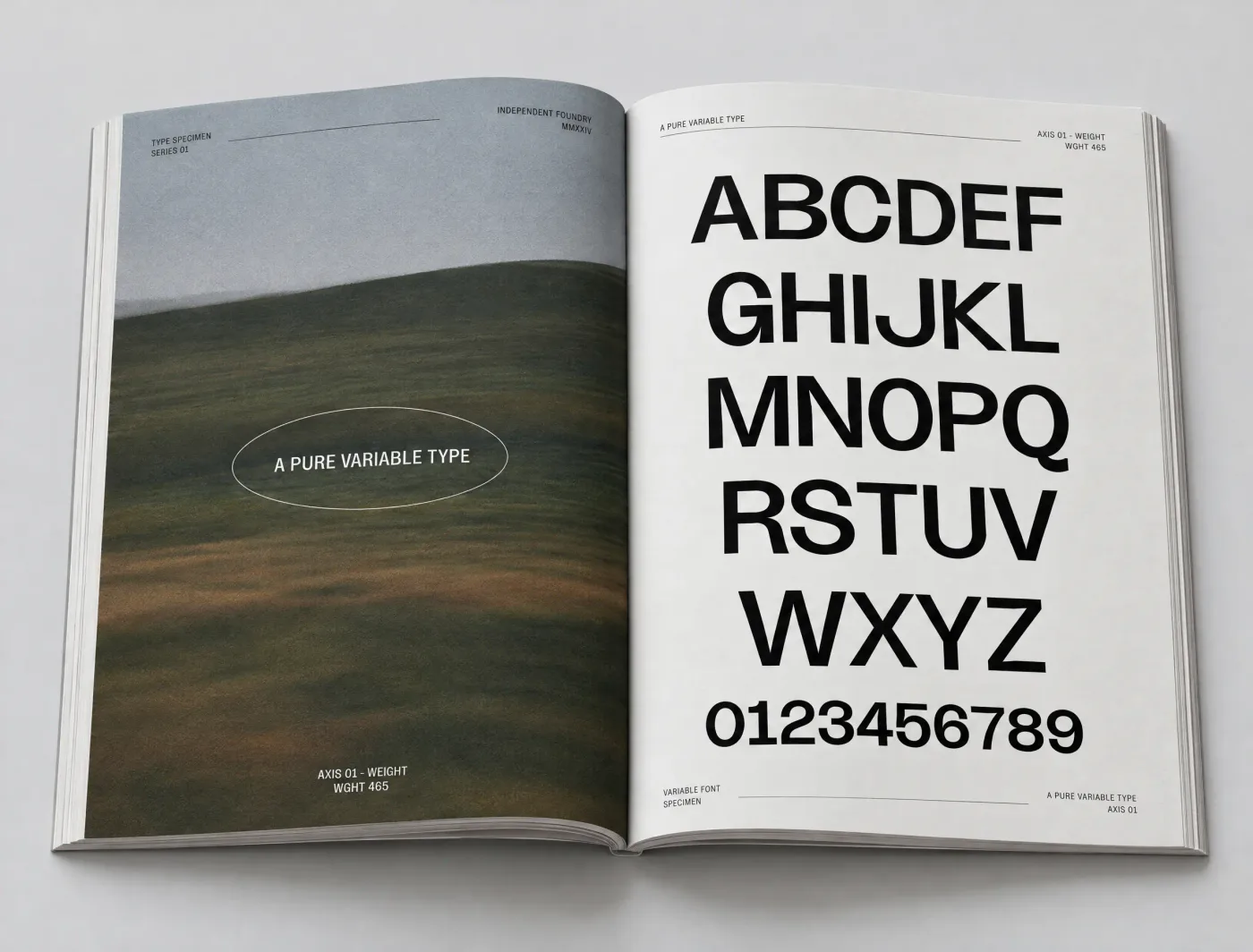 An open type specimen book: a misty green hill on the left page, and the alphabet and numerals set in Blush on the right.
