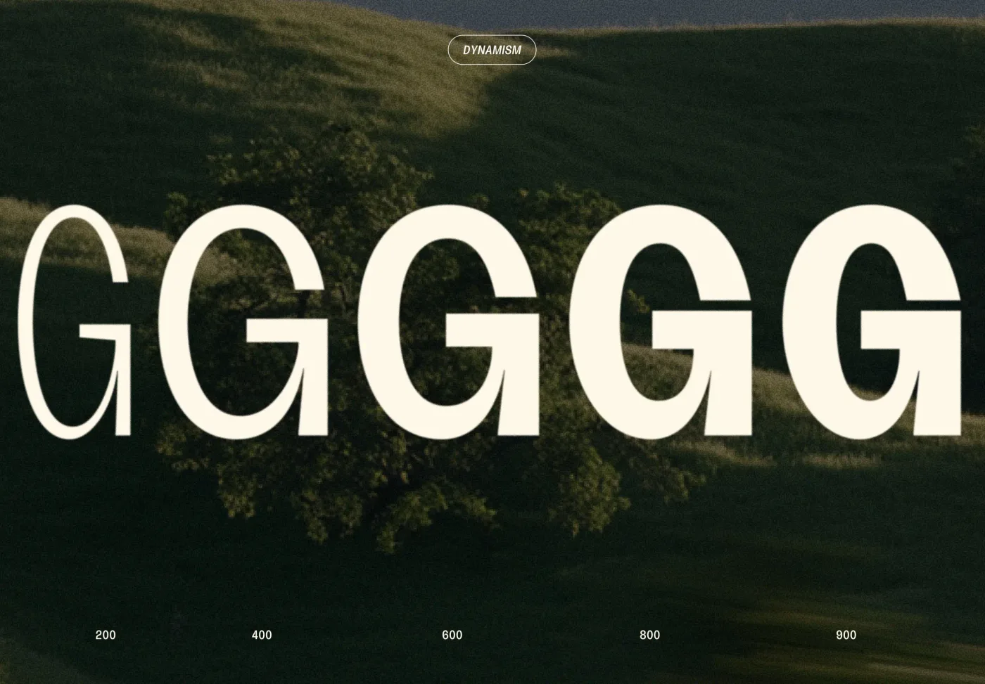 A row of capital G’s in Blush, from weight 200 to 900, set over a hillside.